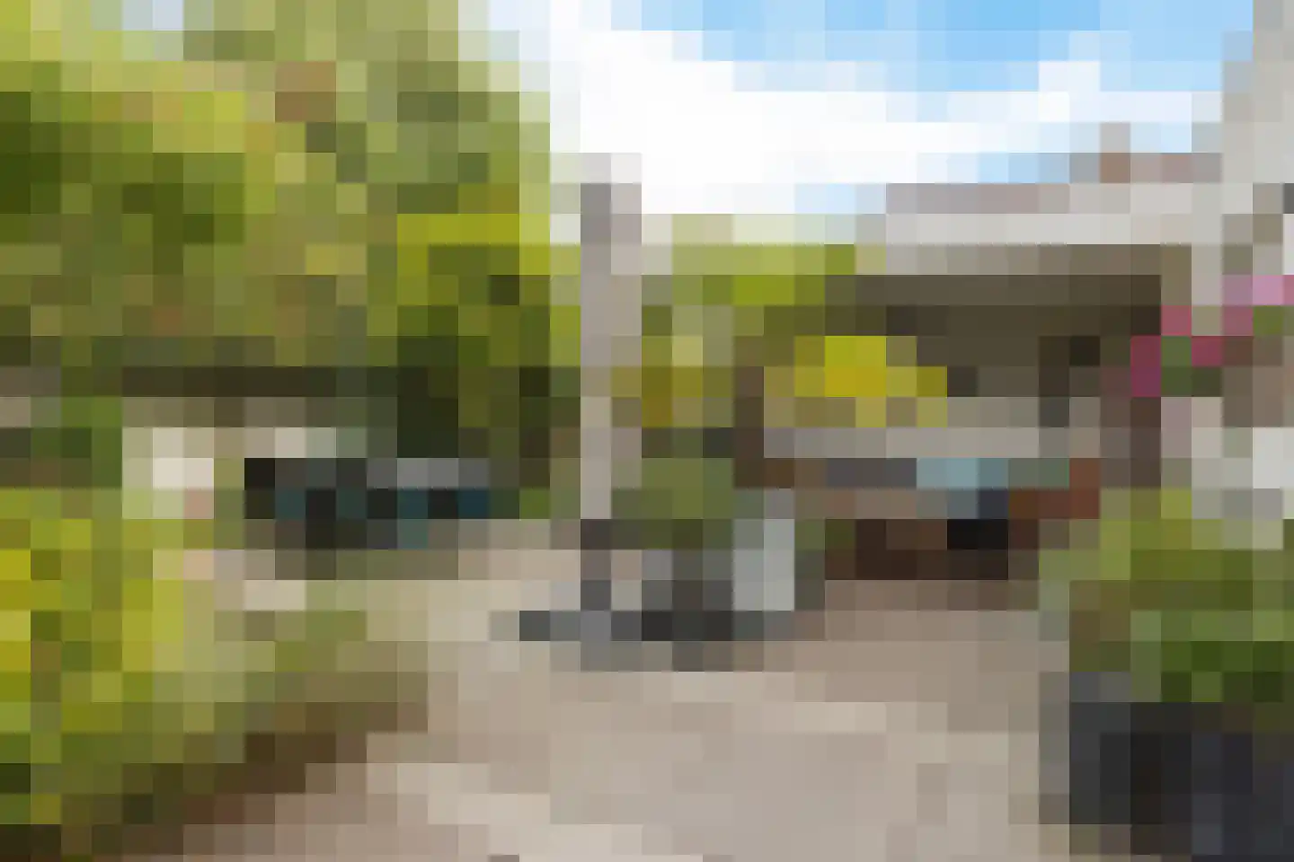 Lijsterbeslaan 90 Valkenswaard thumbnail 39