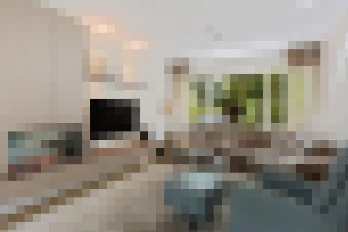 Lijsterbeslaan 90 Valkenswaard thumbnail 4