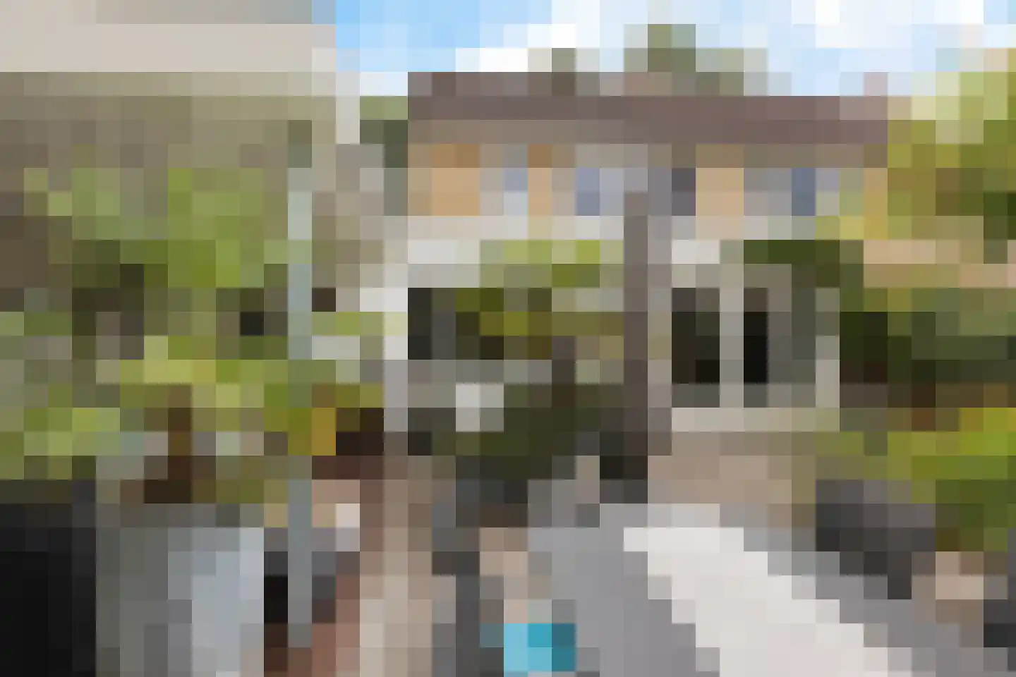 Lijsterbeslaan 90 Valkenswaard thumbnail 40