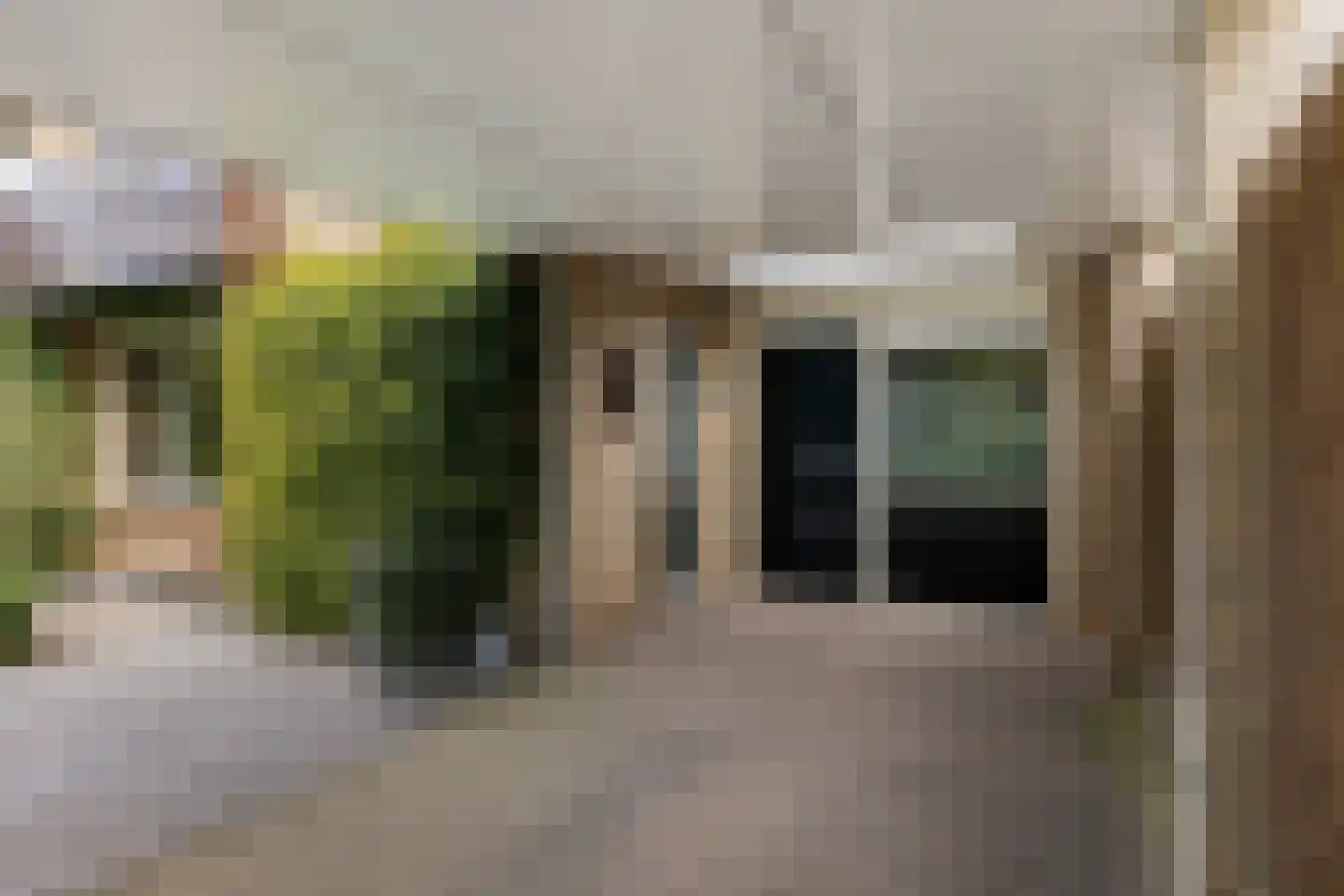 Lijsterbeslaan 90 Valkenswaard thumbnail 42