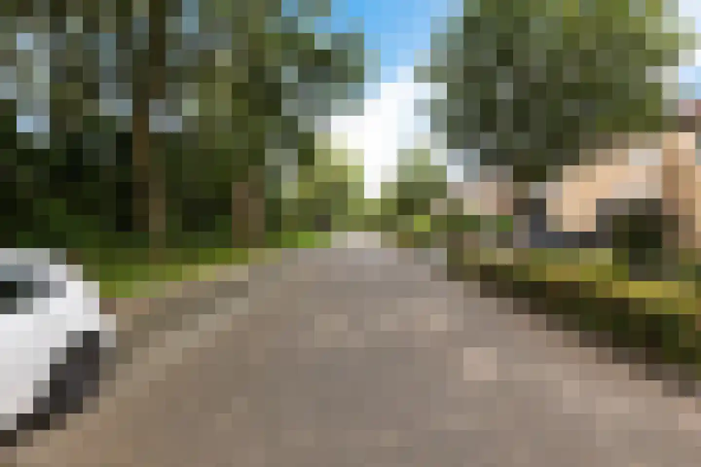 Lijsterbeslaan 90 Valkenswaard thumbnail 43