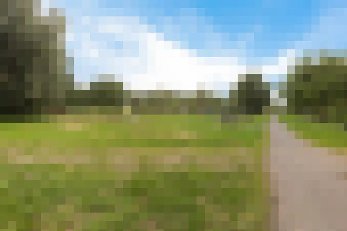 Lijsterbeslaan 90 Valkenswaard thumbnail 45