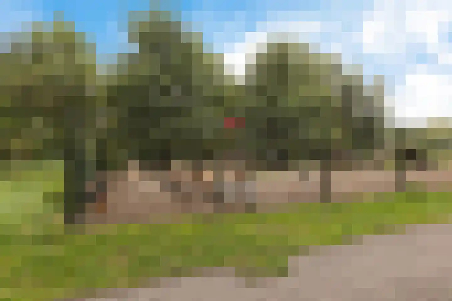 Lijsterbeslaan 90 Valkenswaard thumbnail 46