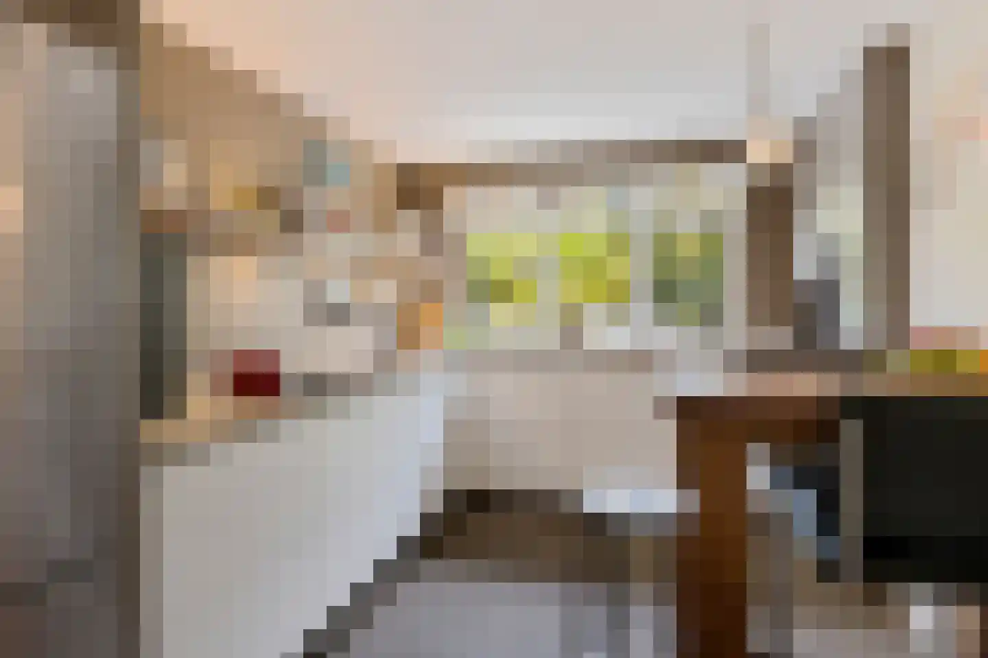 Lijsterbeslaan 90 Valkenswaard thumbnail 9