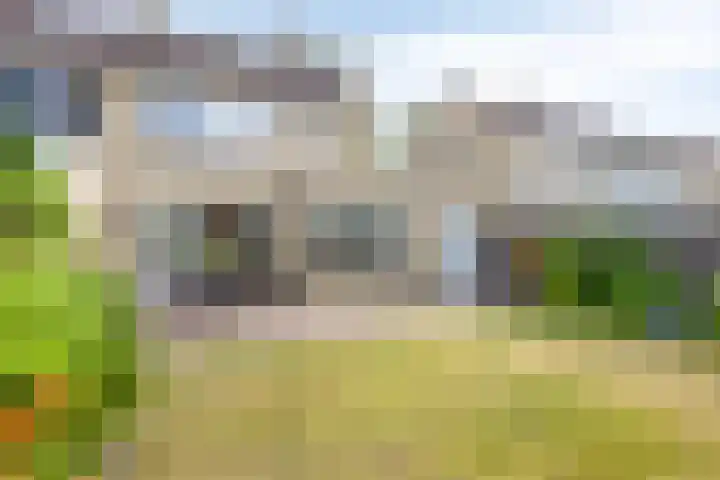 Lijsterbeslaan 92 Valkenswaard thumbnail 27