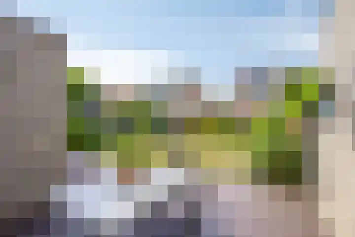 Lijsterbeslaan 92 Valkenswaard thumbnail 28
