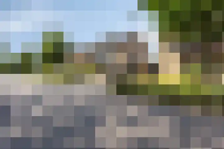 Lijsterbeslaan 92 Valkenswaard thumbnail 29