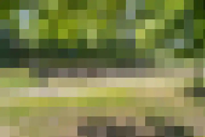 Lijsterbeslaan 92 Valkenswaard thumbnail 30