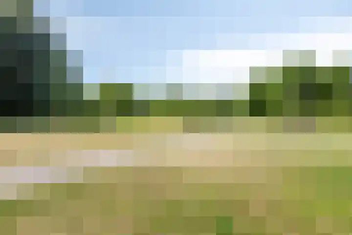 Lijsterbeslaan 92 Valkenswaard thumbnail 31