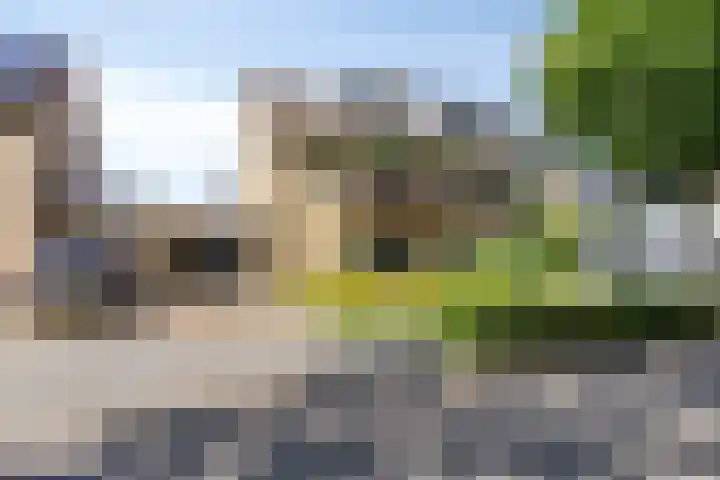 Lijsterbeslaan 92 Valkenswaard thumbnail 35