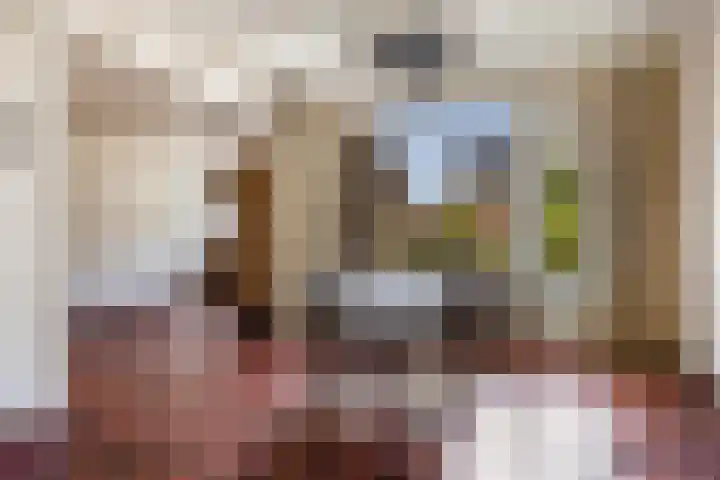 Lijsterbeslaan 92 Valkenswaard thumbnail 6