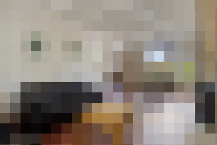 Lijsterbeslaan 92 Valkenswaard thumbnail 7