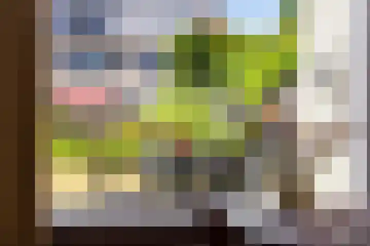 Lijsterbeslaan 92 Valkenswaard thumbnail 9