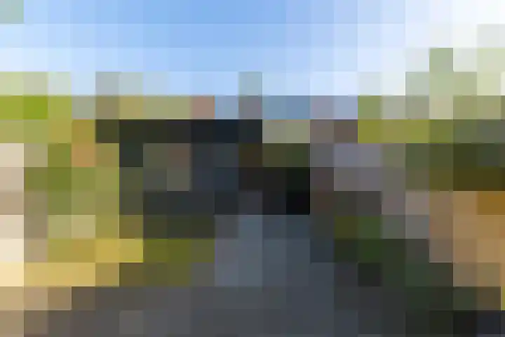 Lijsterbeslaan 93 Rotterdam thumbnail 14