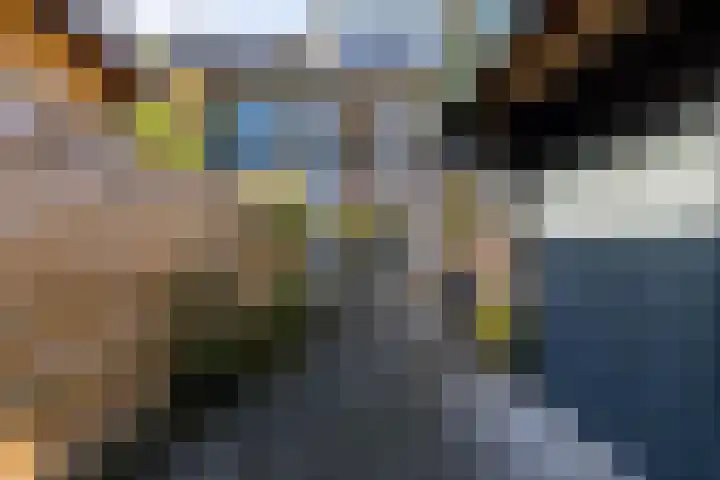 Lijsterbeslaan 93 Rotterdam thumbnail 16