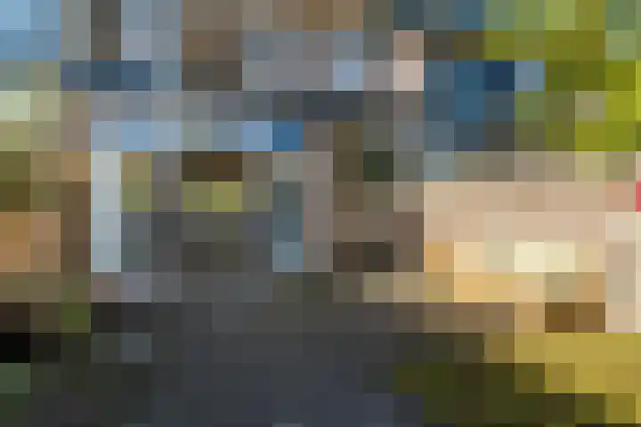 Lijsterbeslaan 93 Rotterdam thumbnail 17