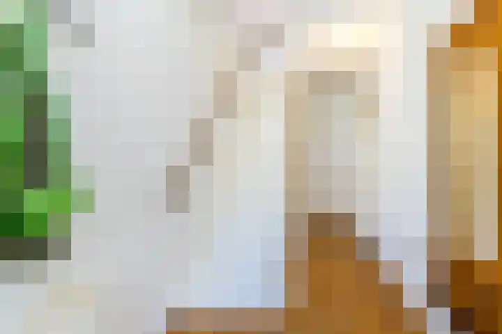 Lijsterbeslaan 93 Rotterdam thumbnail 21
