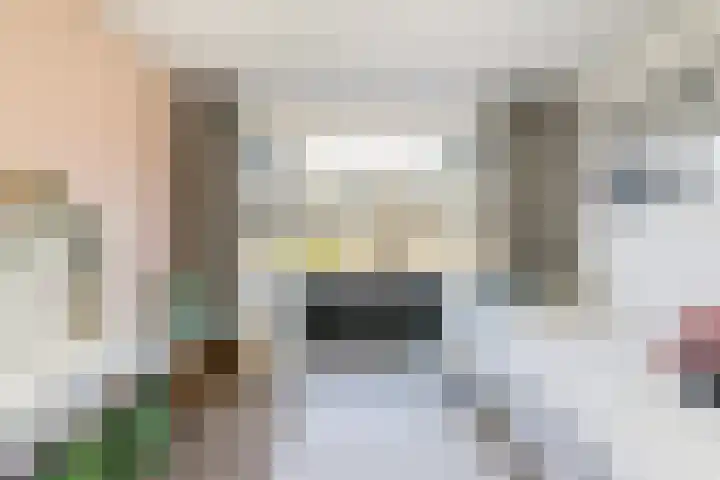 Lijsterbeslaan 93 Rotterdam thumbnail 23