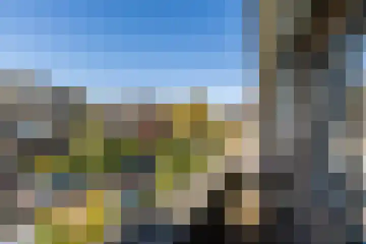 Lijsterbeslaan 93 Rotterdam thumbnail 24