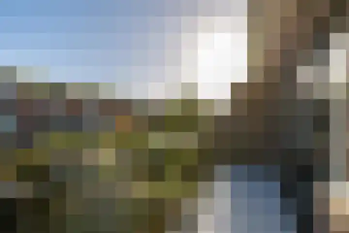 Lijsterbeslaan 93 Rotterdam thumbnail 28