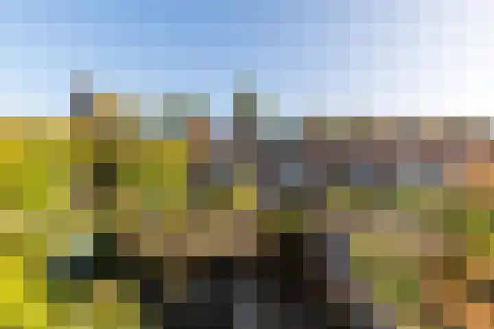Lijsterbeslaan 93 Rotterdam thumbnail 29