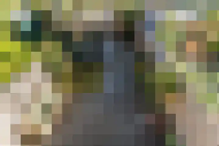 Lijsterbeslaan 93 Rotterdam thumbnail 30