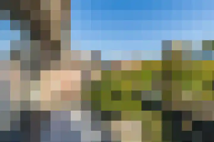 Lijsterbeslaan 93 Rotterdam thumbnail 31