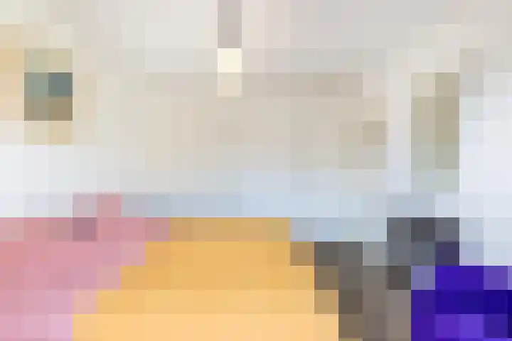 Lijsterbeslaan 93 Rotterdam thumbnail 32
