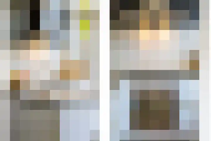 Lijsterbeslaan 93 Rotterdam thumbnail 4