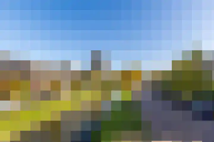 Lijsterbeslaan 93 Rotterdam thumbnail 48