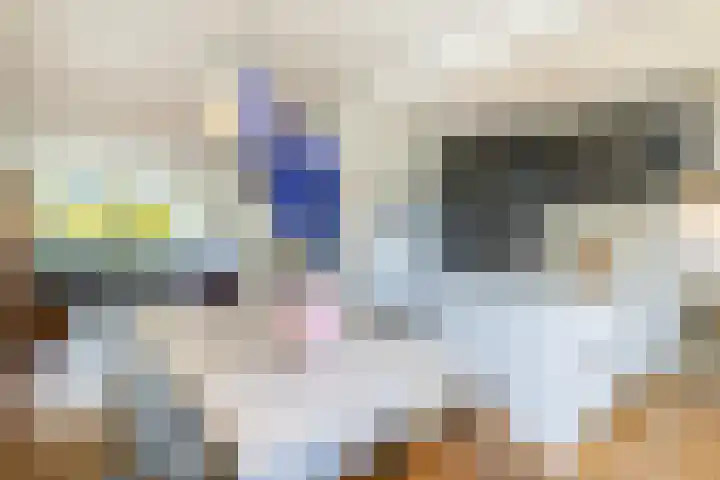 Lijsterbeslaan 93 Rotterdam thumbnail 7