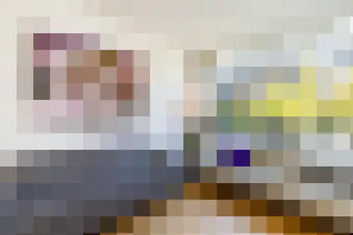 Lijsterbeslaan 93 Rotterdam thumbnail 9