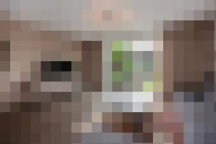 Lijsterbeslaan 94 Delft thumbnail 11