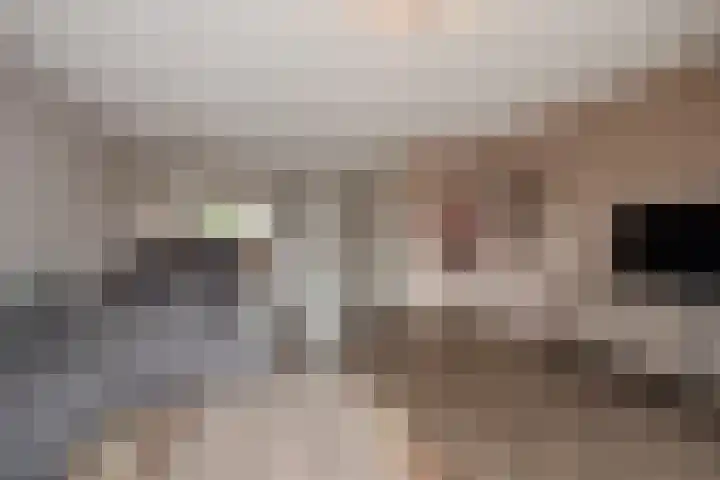 Lijsterbeslaan 94 Delft thumbnail 12