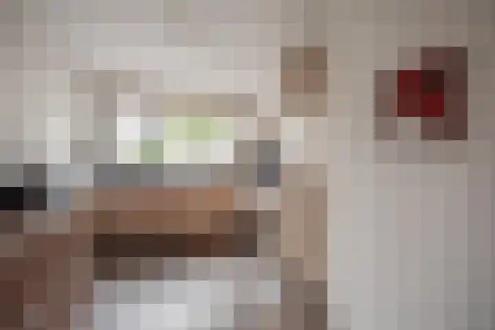 Lijsterbeslaan 94 Delft thumbnail 14
