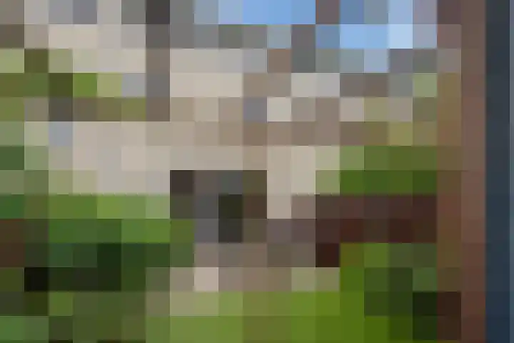 Lijsterbeslaan 94 Delft thumbnail 18