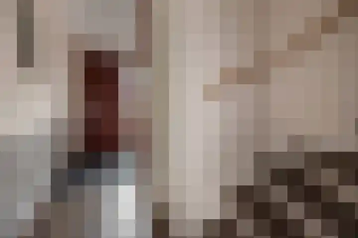 Lijsterbeslaan 94 Delft thumbnail 19