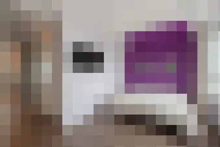 Lijsterbeslaan 94 Delft thumbnail 28