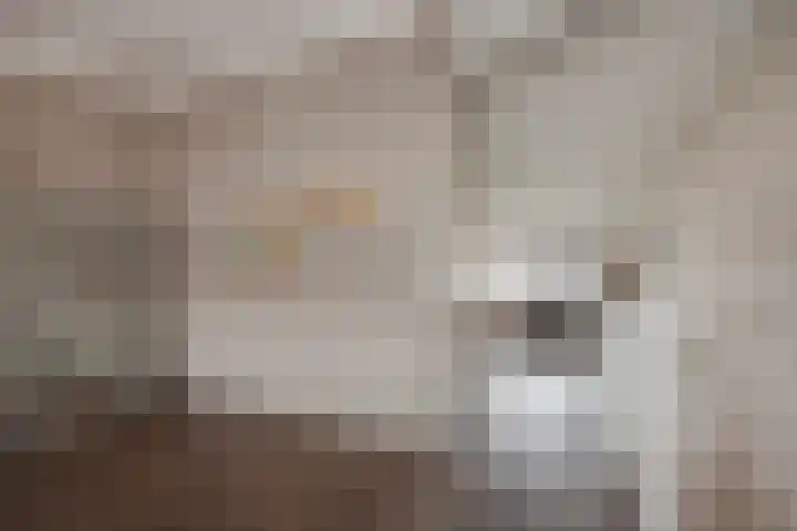Lijsterbeslaan 94 Delft thumbnail 30