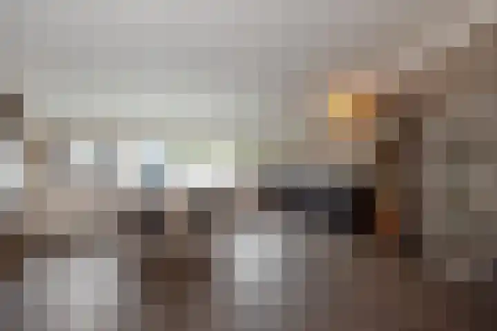 Lijsterbeslaan 94 Delft thumbnail 31