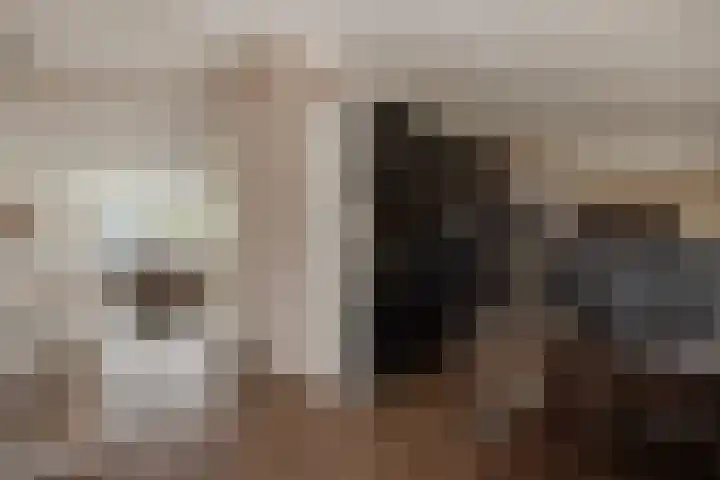 Lijsterbeslaan 94 Delft thumbnail 33