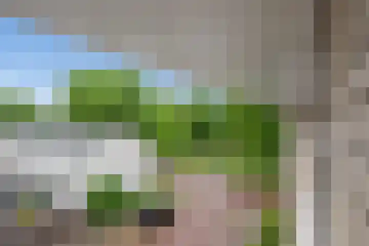 Lijsterbeslaan 94 Delft thumbnail 34
