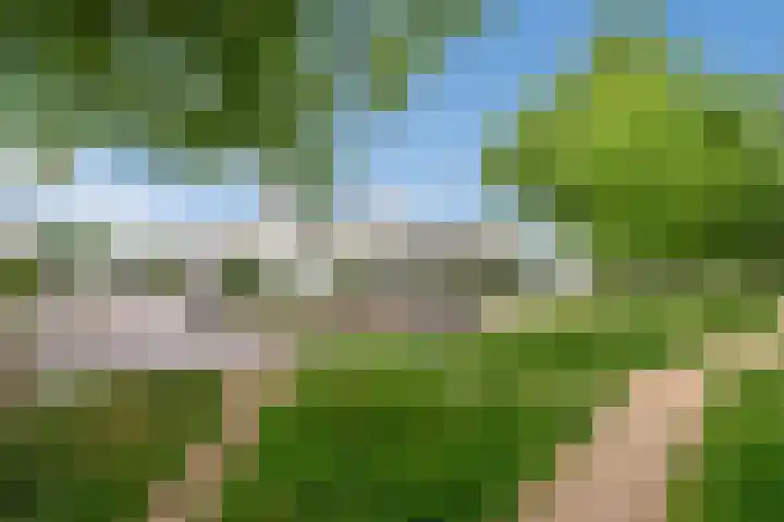 Lijsterbeslaan 94 Delft thumbnail 37