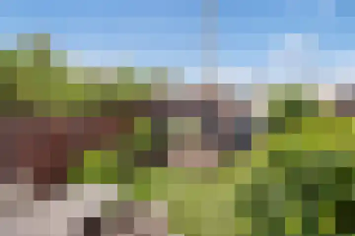 Lijsterbeslaan 94 Delft thumbnail 5