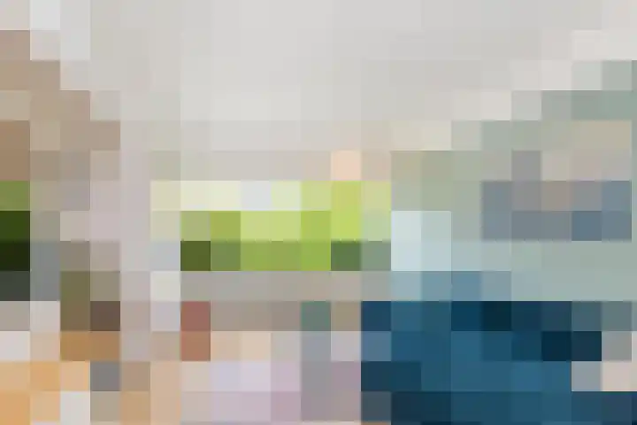 Lijsterbeslaan 94 Rotterdam thumbnail 11