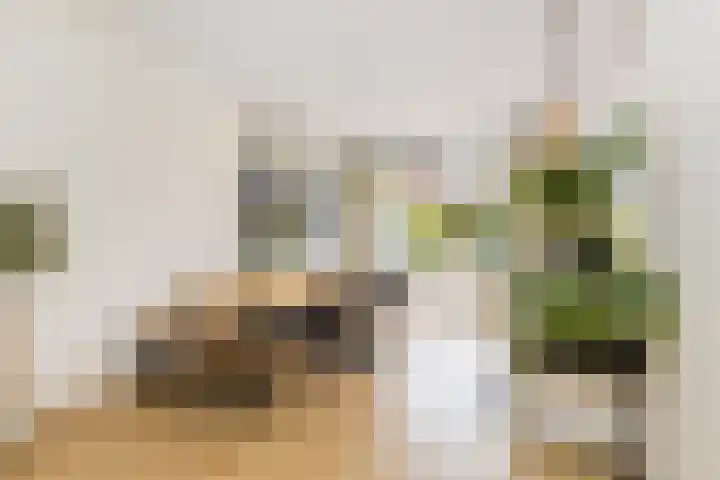 Lijsterbeslaan 94 Rotterdam thumbnail 14