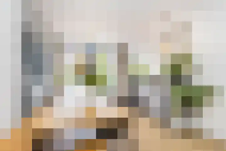 Lijsterbeslaan 94 Rotterdam thumbnail 16