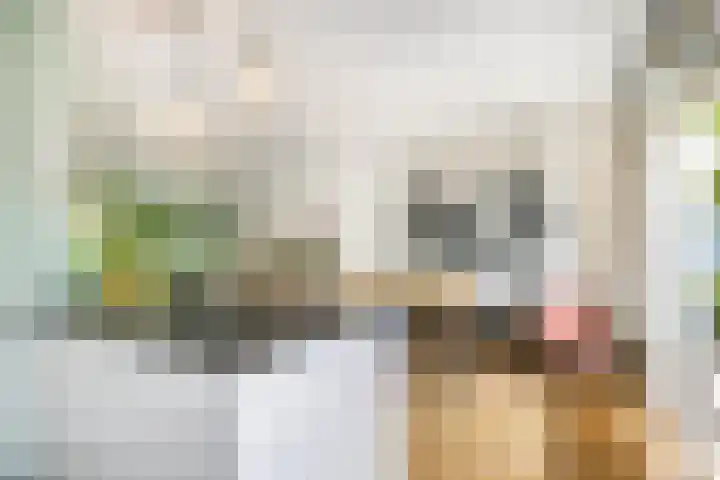 Lijsterbeslaan 94 Rotterdam thumbnail 20