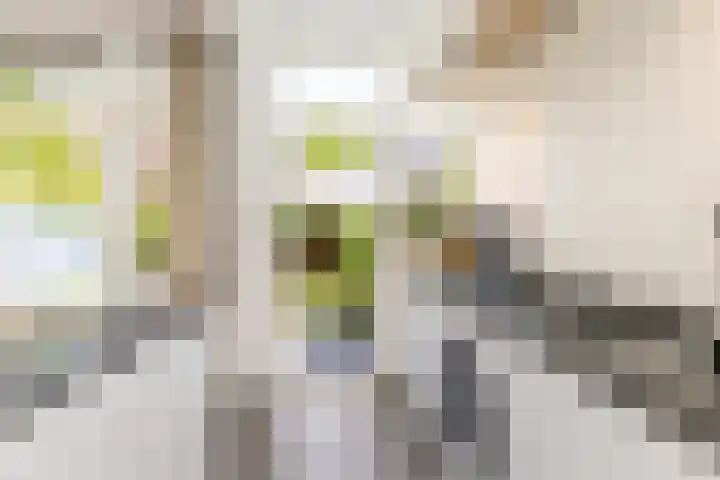 Lijsterbeslaan 94 Rotterdam thumbnail 21