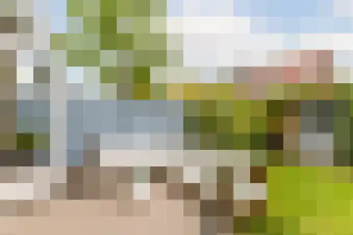 Lijsterbeslaan 94 Rotterdam thumbnail 22